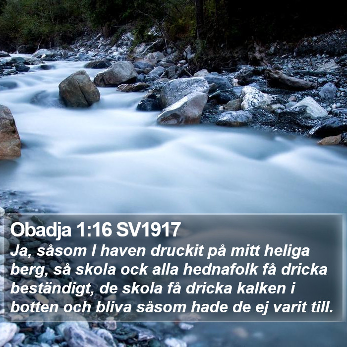 Obadja 1:16 SV1917 Bible Study