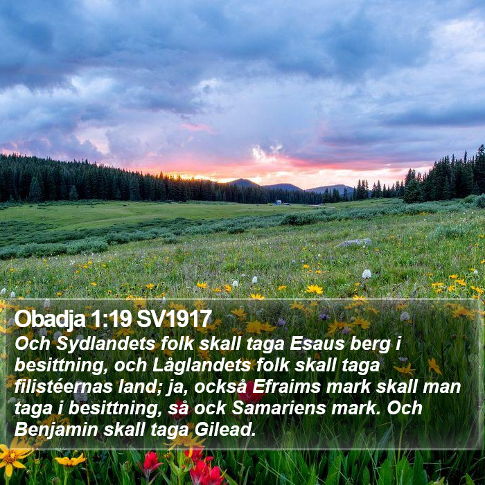 Obadja 1:19 SV1917 Bible Study