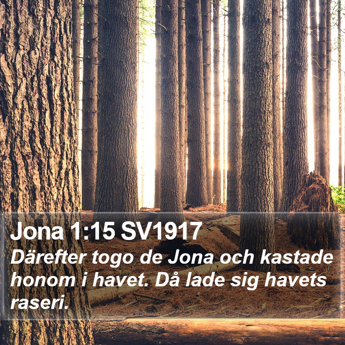 Jona 1:15 SV1917 Bible Study