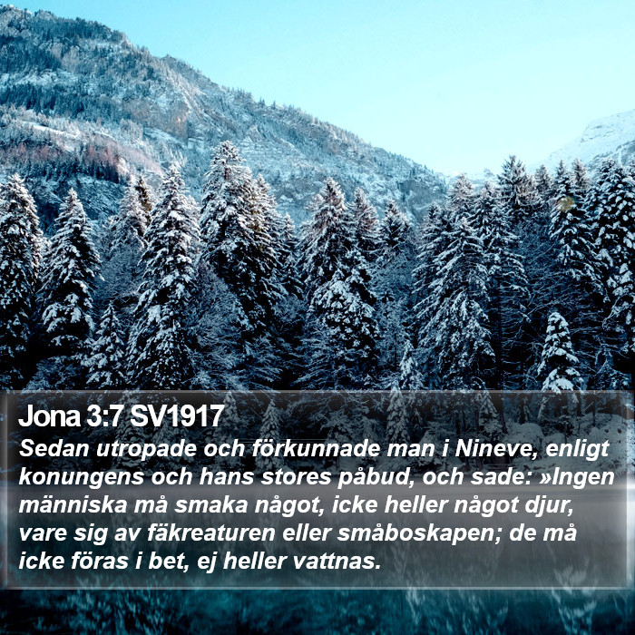 Jona 3:7 SV1917 Bible Study