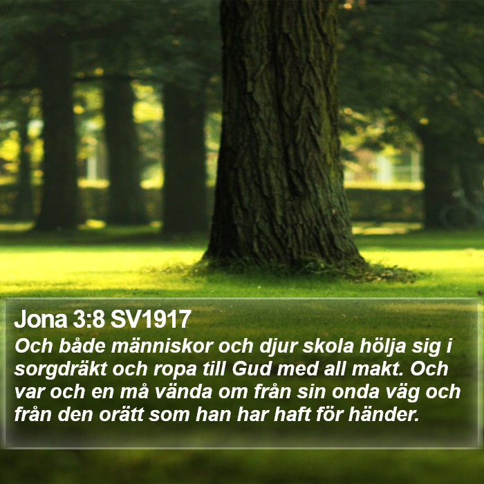 Jona 3:8 SV1917 Bible Study