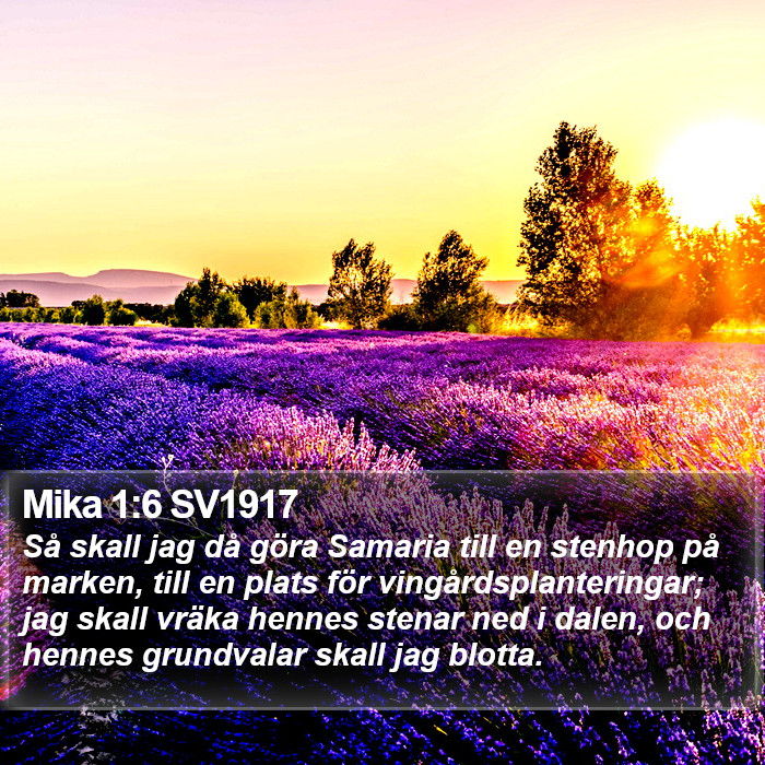 Mika 1:6 SV1917 Bible Study