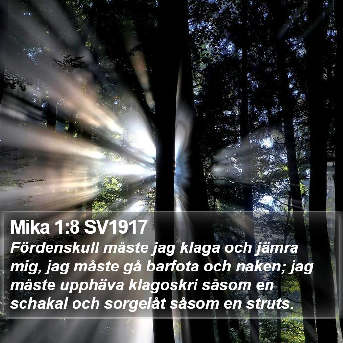 Mika 1:8 SV1917 Bible Study