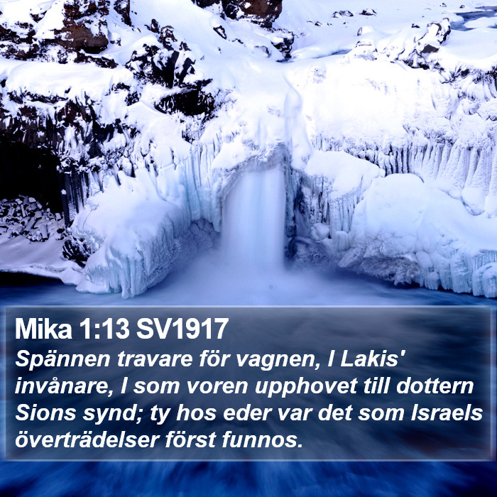 Mika 1:13 SV1917 Bible Study