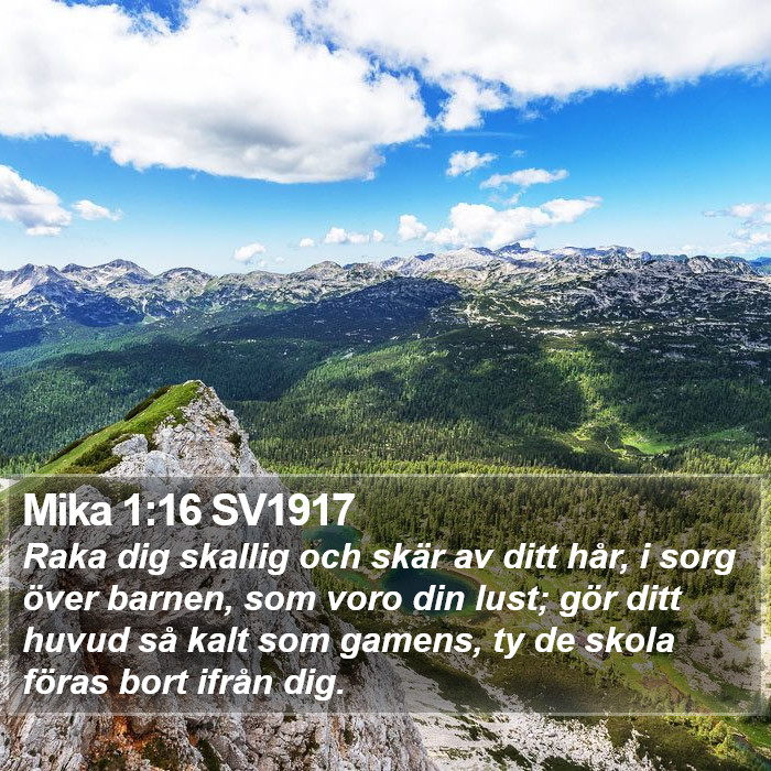 Mika 1:16 SV1917 Bible Study