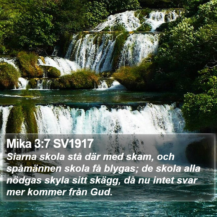 Mika 3:7 SV1917 Bible Study