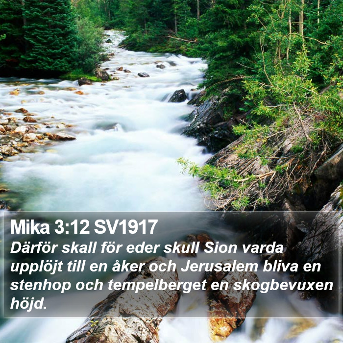 Mika 3:12 SV1917 Bible Study