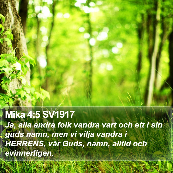 Mika 4:5 SV1917 Bible Study