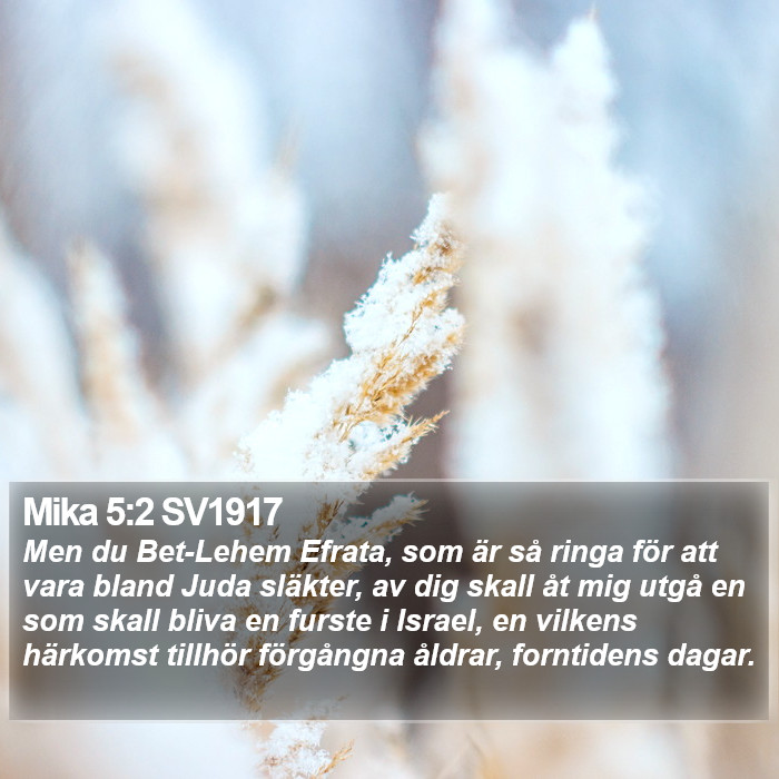 Mika 5:2 SV1917 Bible Study