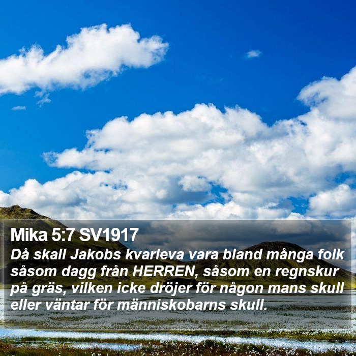 Mika 5:7 SV1917 Bible Study