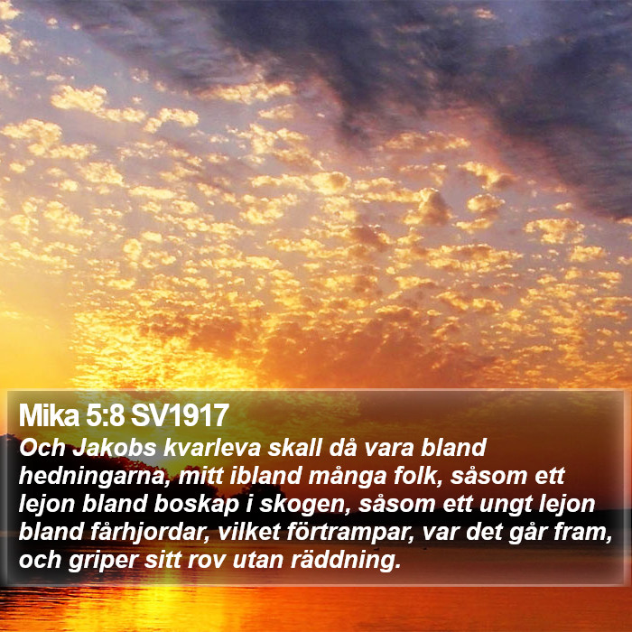 Mika 5:8 SV1917 Bible Study