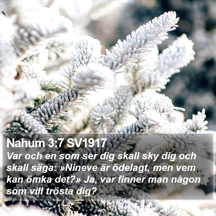 Nahum 3:7 SV1917 Bible Study