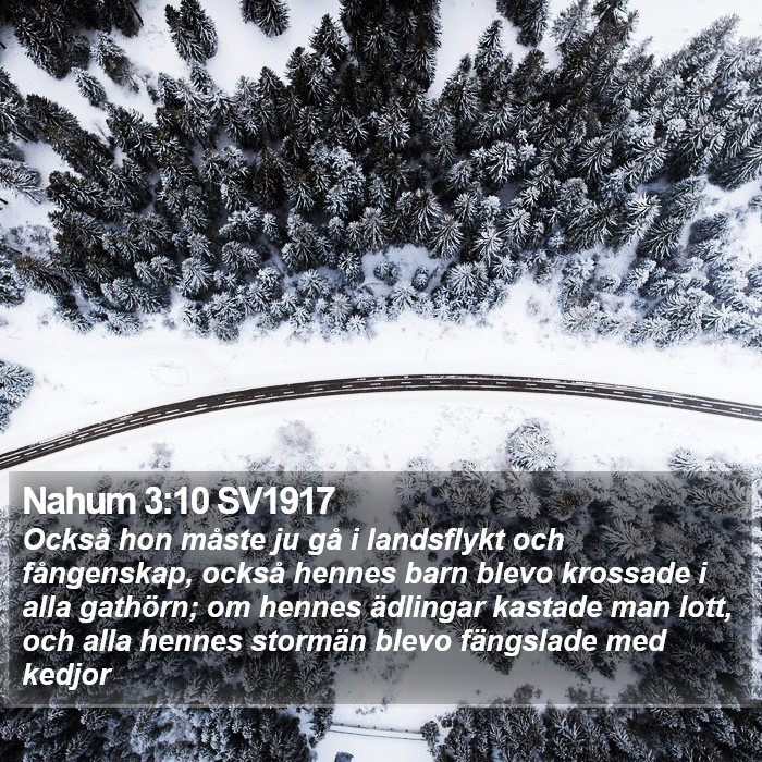 Nahum 3:10 SV1917 Bible Study