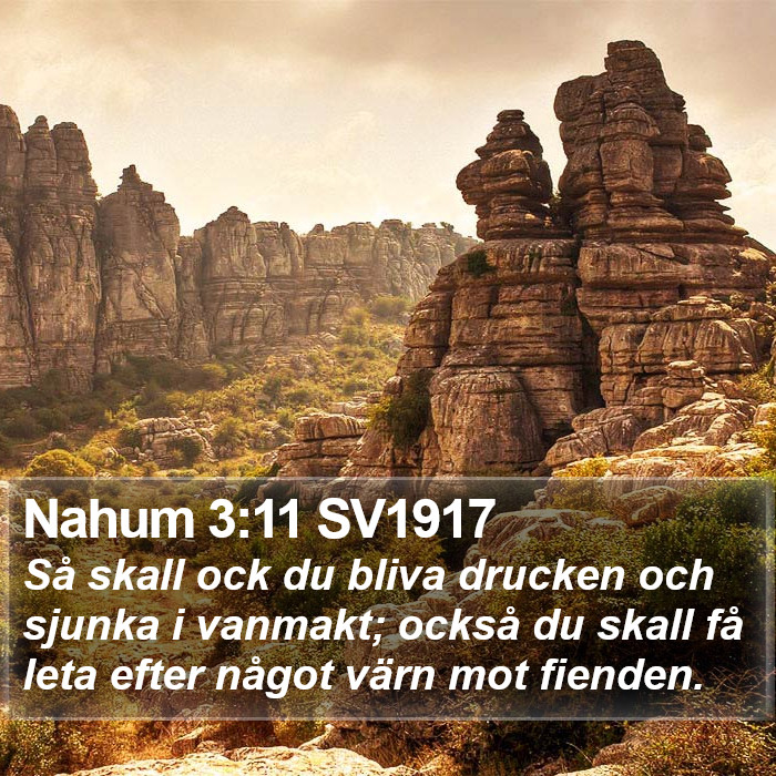 Nahum 3:11 SV1917 Bible Study