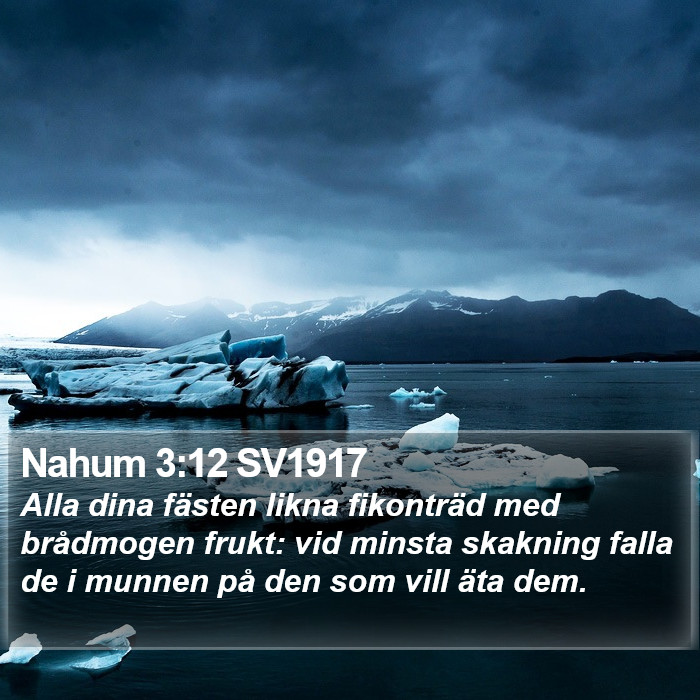 Nahum 3:12 SV1917 Bible Study