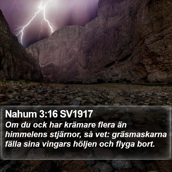 Nahum 3:16 SV1917 Bible Study