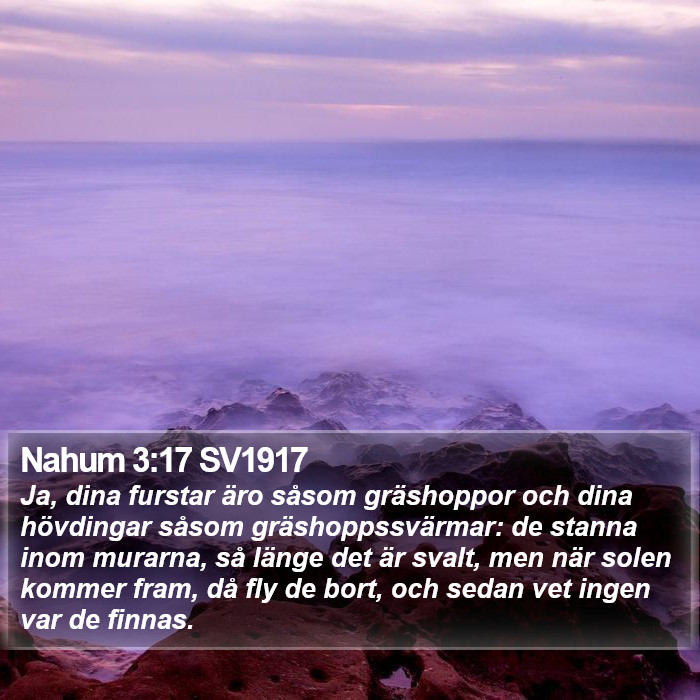 Nahum 3:17 SV1917 Bible Study