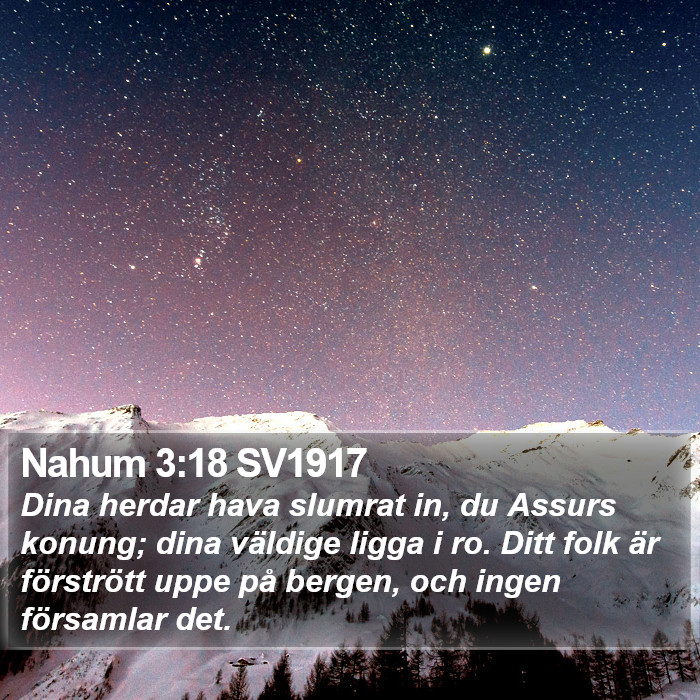 Nahum 3:18 SV1917 Bible Study