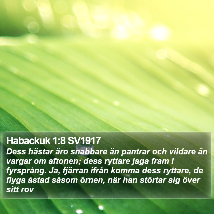 Habackuk 1:8 SV1917 Bible Study