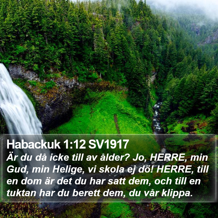 Habackuk 1:12 SV1917 Bible Study