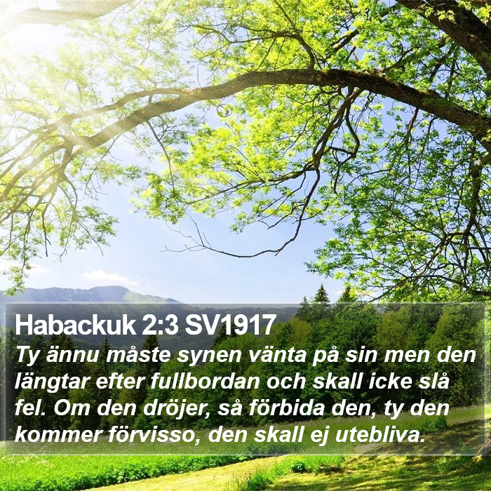 Habackuk 2:3 SV1917 Bible Study