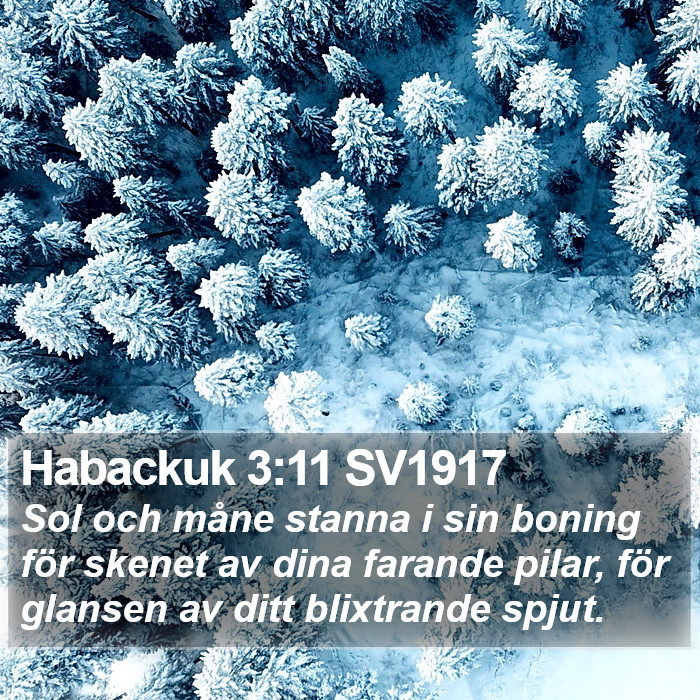 Habackuk 3:11 SV1917 Bible Study