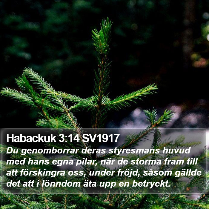 Habackuk 3:14 SV1917 Bible Study