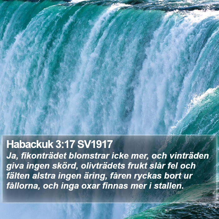 Habackuk 3:17 SV1917 Bible Study