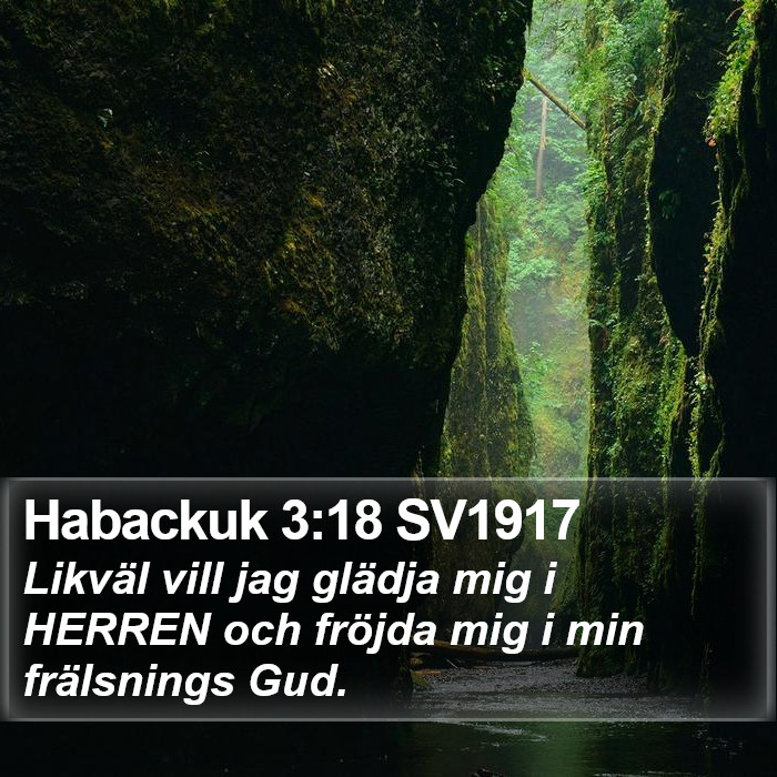 Habackuk 3:18 SV1917 Bible Study