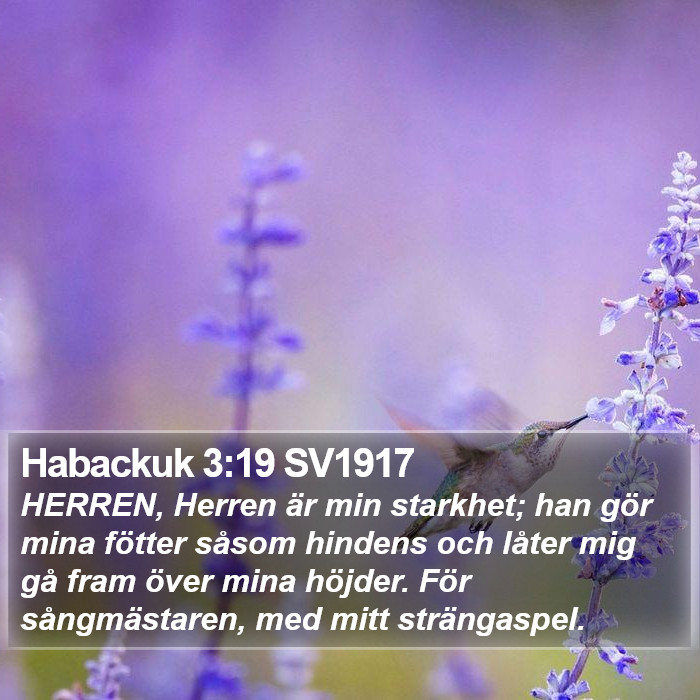 Habackuk 3:19 SV1917 Bible Study