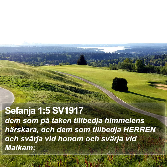 Sefanja 1:5 SV1917 Bible Study