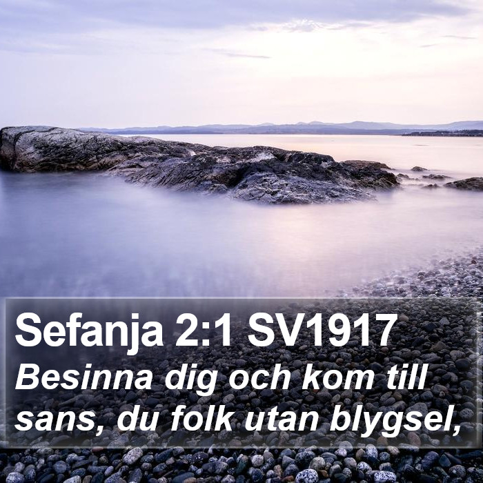 Sefanja 2:1 SV1917 Bible Study