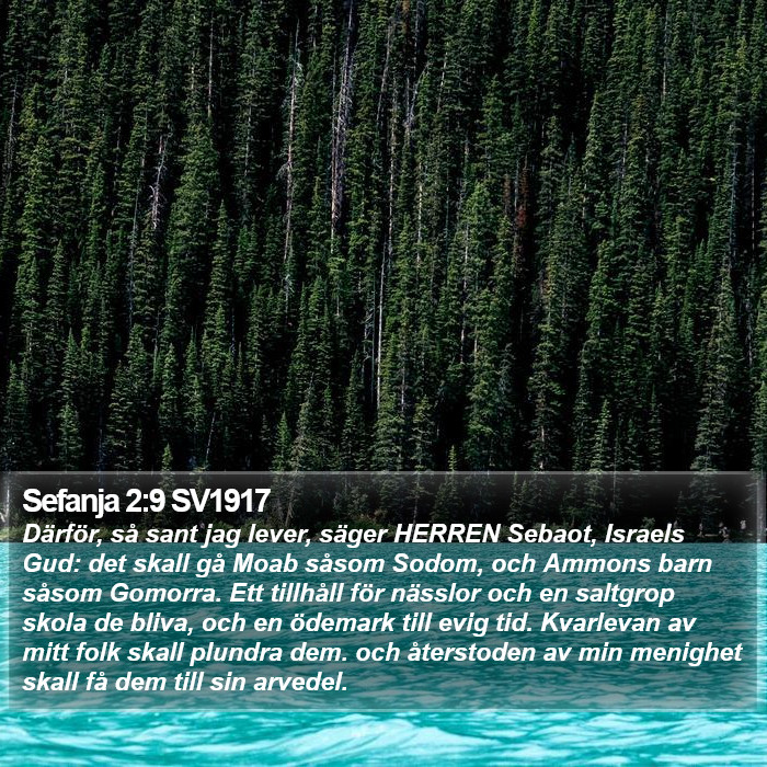 Sefanja 2:9 SV1917 Bible Study