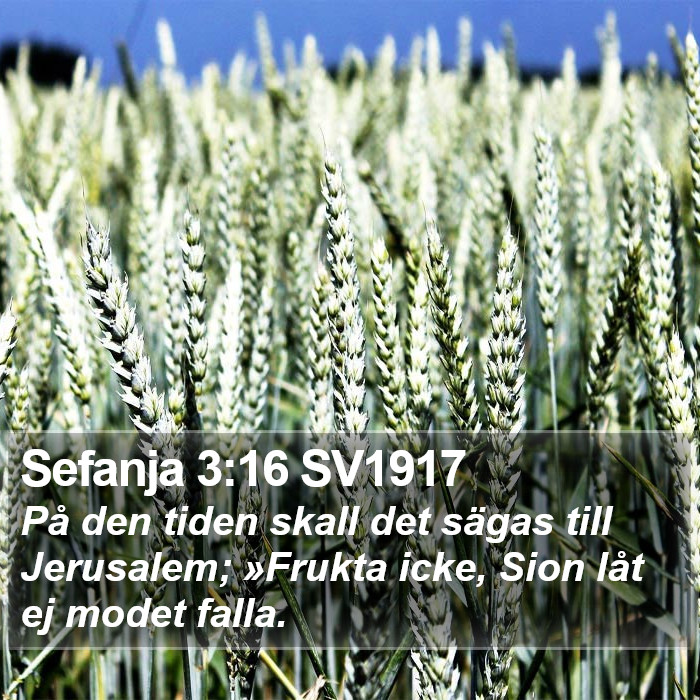 Sefanja 3:16 SV1917 Bible Study