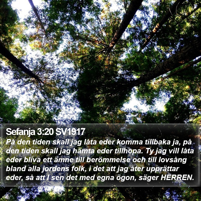 Sefanja 3:20 SV1917 Bible Study