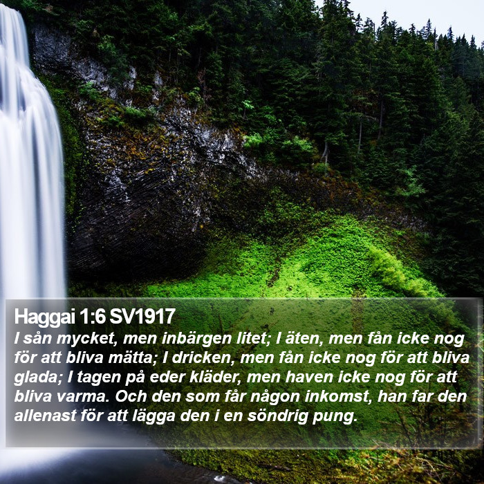 Haggai 1:6 SV1917 Bible Study