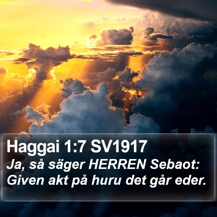 Haggai 1:7 SV1917 Bible Study