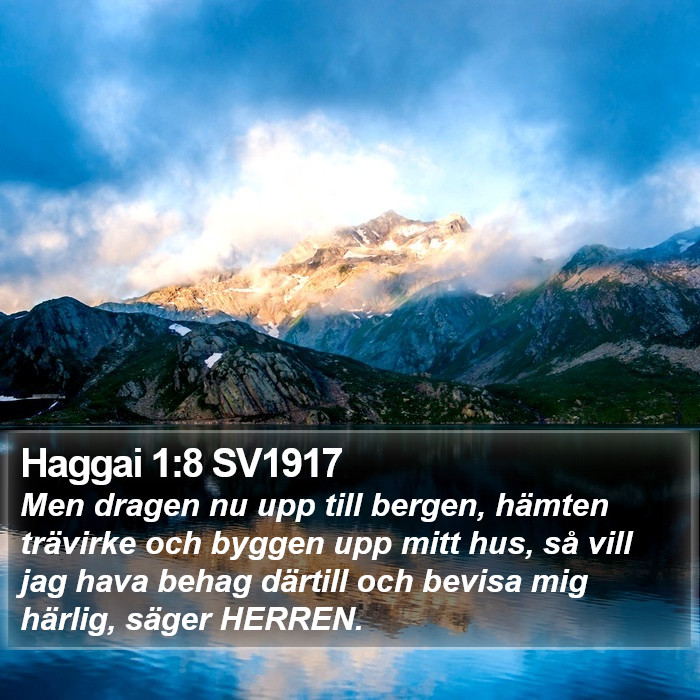 Haggai 1:8 SV1917 Bible Study