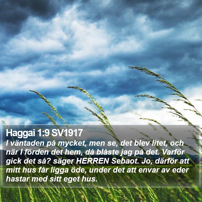 Haggai 1:9 SV1917 Bible Study