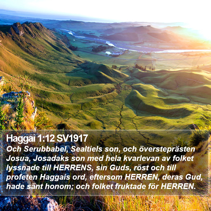 Haggai 1:12 SV1917 Bible Study