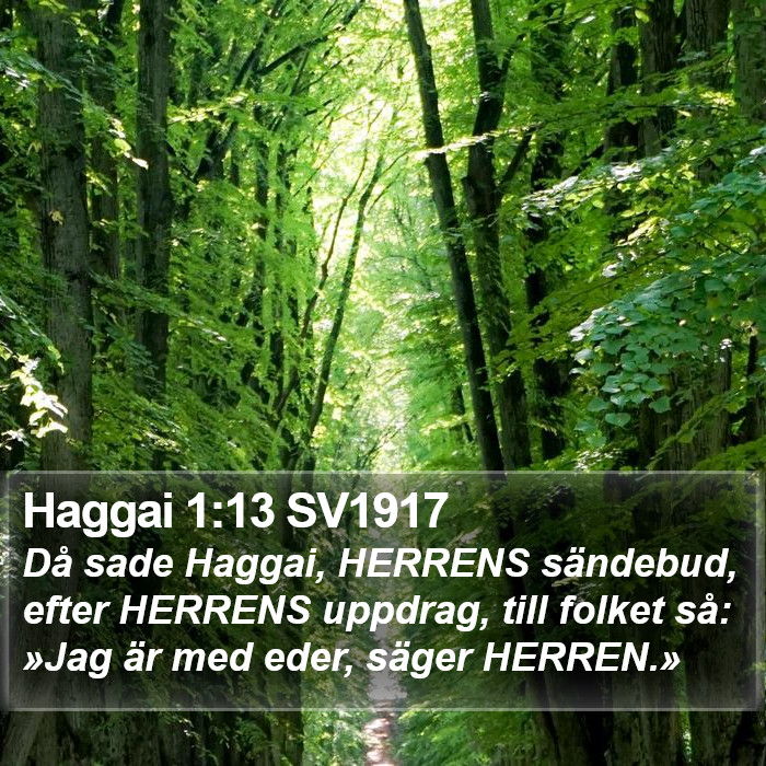 Haggai 1:13 SV1917 Bible Study