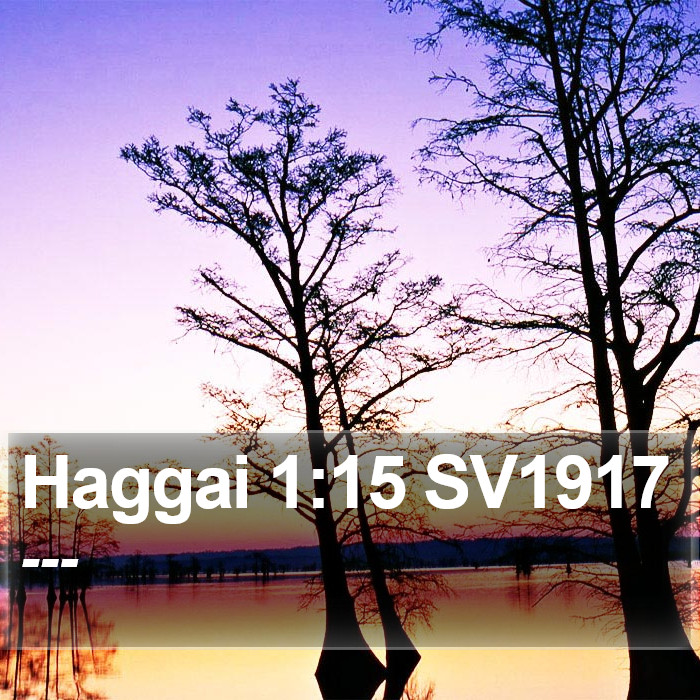 Haggai 1:15 SV1917 Bible Study