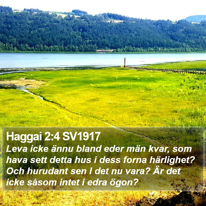 Haggai 2:4 SV1917 Bible Study