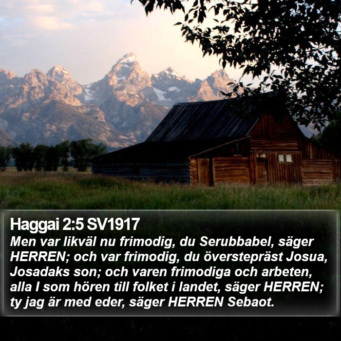 Haggai 2:5 SV1917 Bible Study