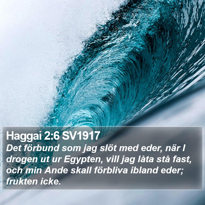 Haggai 2:6 SV1917 Bible Study