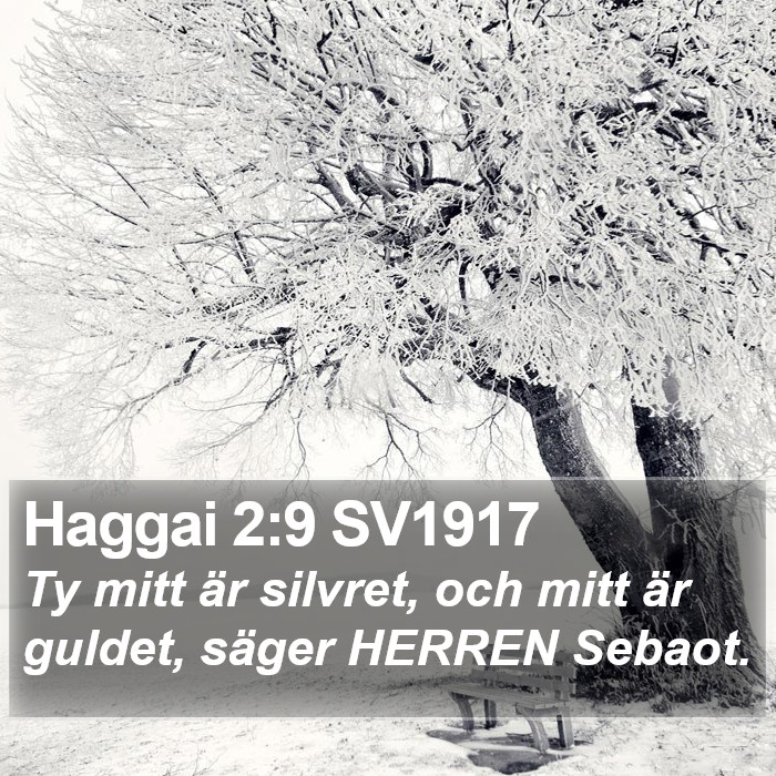 Haggai 2:9 SV1917 Bible Study