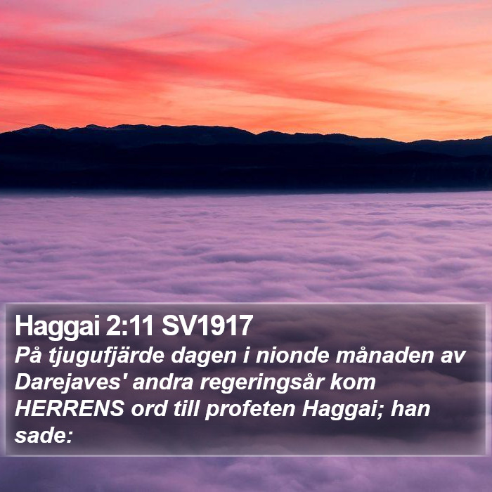 Haggai 2:11 SV1917 Bible Study