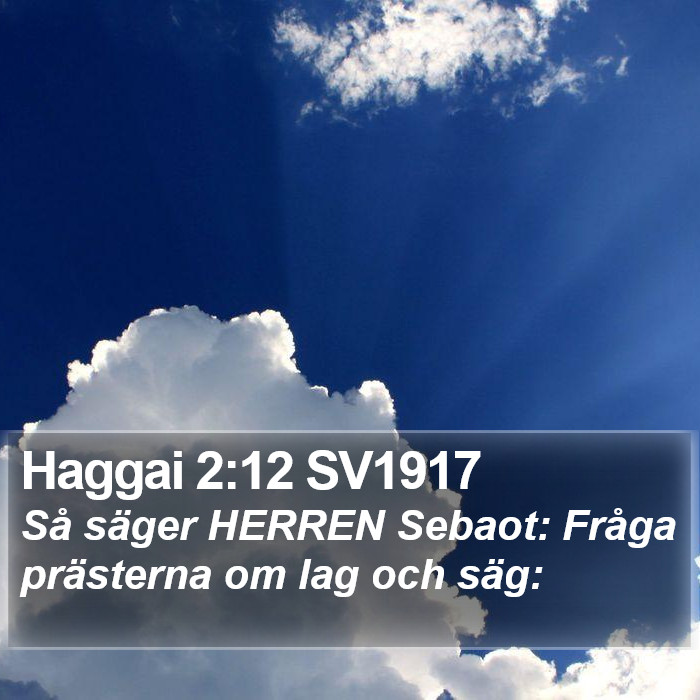 Haggai 2:12 SV1917 Bible Study