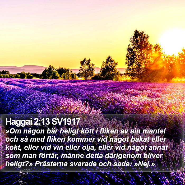 Haggai 2:13 SV1917 Bible Study