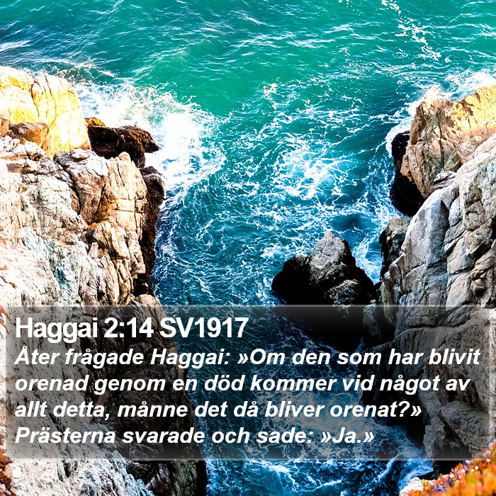 Haggai 2:14 SV1917 Bible Study